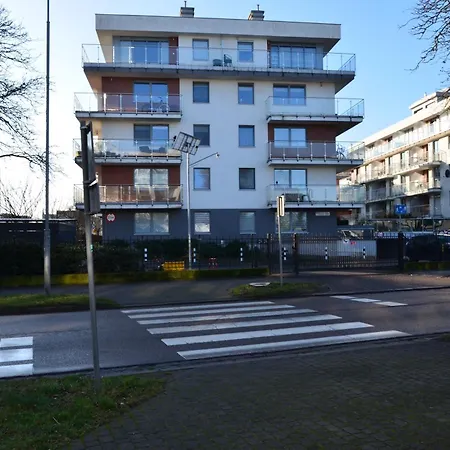 Bursztynowe Z Miejscem Postojowym Gratis *